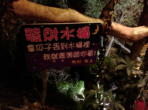 星月天空：南投星月天空 夜景超美 裡面有許多小動物 設施 有趣好玩的小天堂