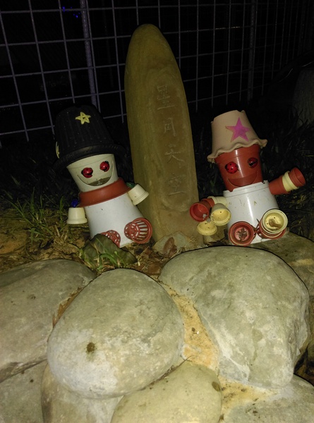 星月天空：南投星月天空 夜景超美 裡面有許多小動物 設施 有趣好玩的小天堂