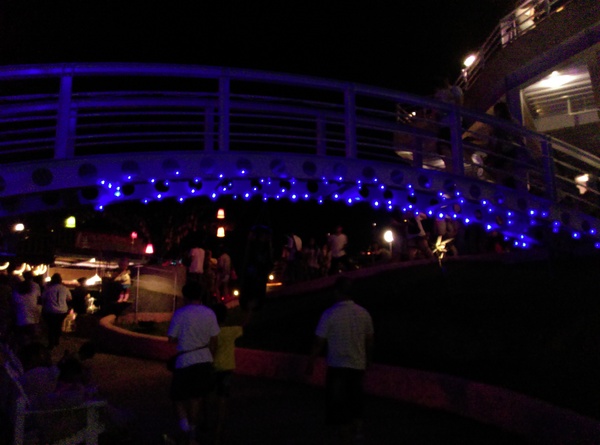 星月天空：南投星月天空 夜景超美 裡面有許多小動物 設施 有趣好玩的小天堂