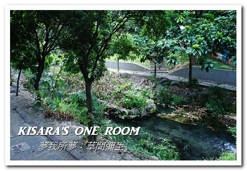 夢我所夢：草間彌生 亞洲巡迴展台灣站(台中站)：進入前衛藝術家的夢境──夢我所夢：草間彌生