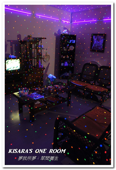 夢我所夢：草間彌生 亞洲巡迴展台灣站(台中站)：進入前衛藝術家的夢境──夢我所夢：草間彌生