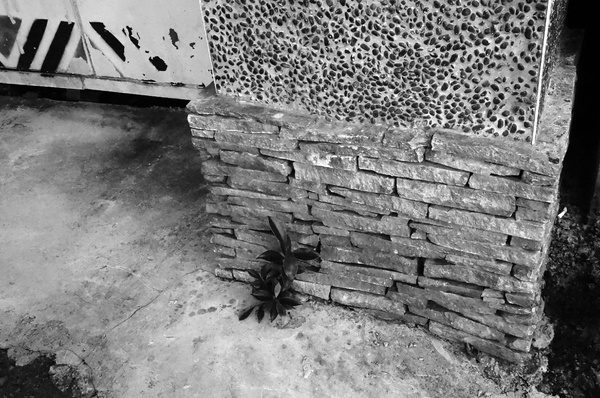 武界曲冰部落：[南投.仁愛] 曲冰部落：純樸美麗的山間部落