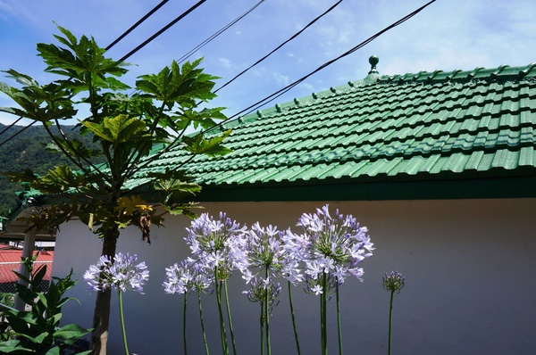 武界曲冰部落：[南投.仁愛] 曲冰部落：純樸美麗的山間部落