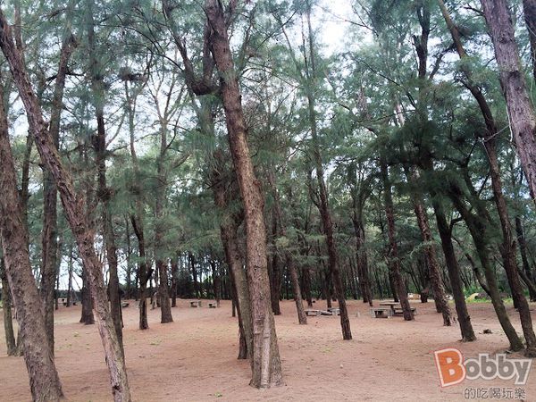 2015-06-26 09.52.38.jpg