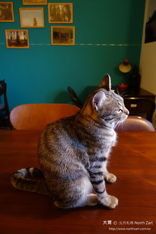 19191296882_5bdd41497d_c