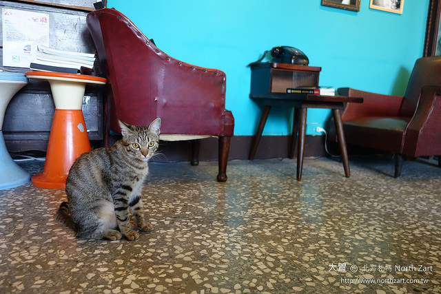 18576387853_a3b9387e3a_o