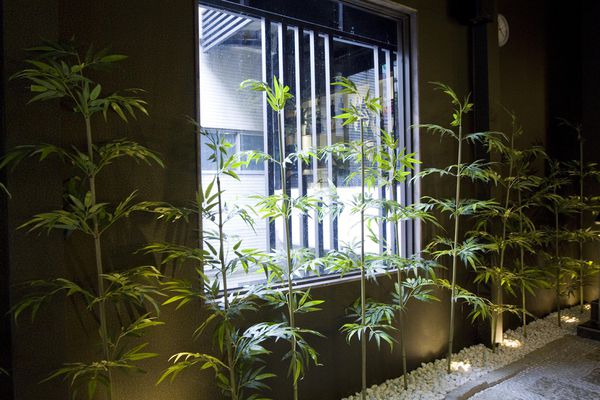 錵鑶日本料理(伊通店)-37