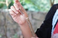 槑休閒農業區：東埔、水里遊之二．槑休閒農業區