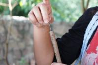 槑休閒農業區：東埔、水里遊之二．槑休閒農業區