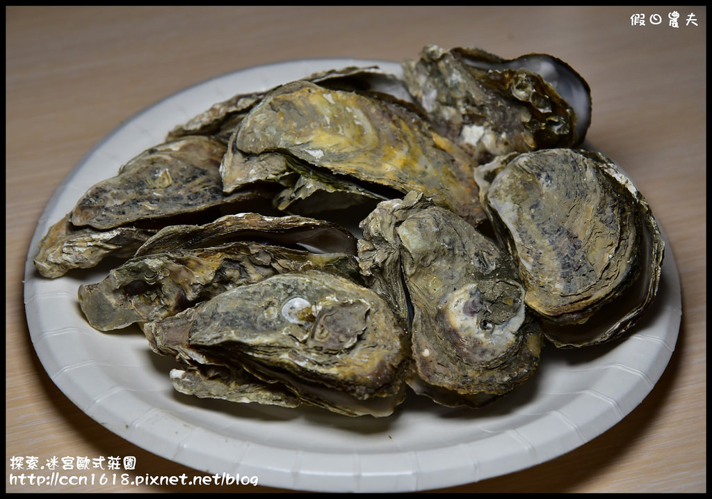 探索.迷宮歐式莊園DSC_2177