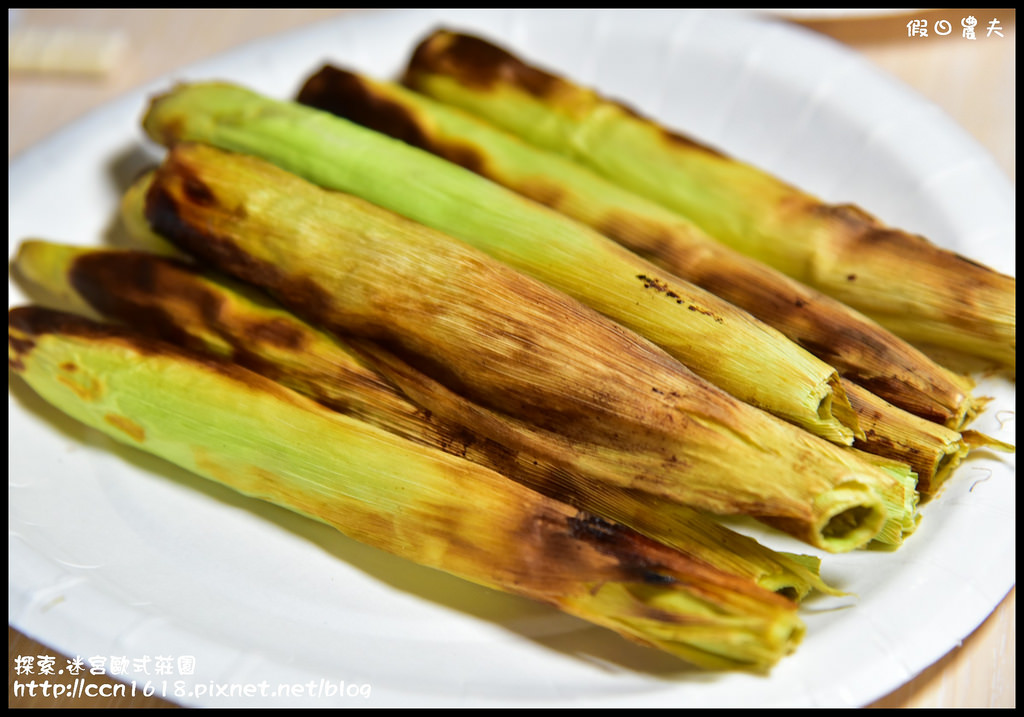 探索.迷宮歐式莊園DSC_2186