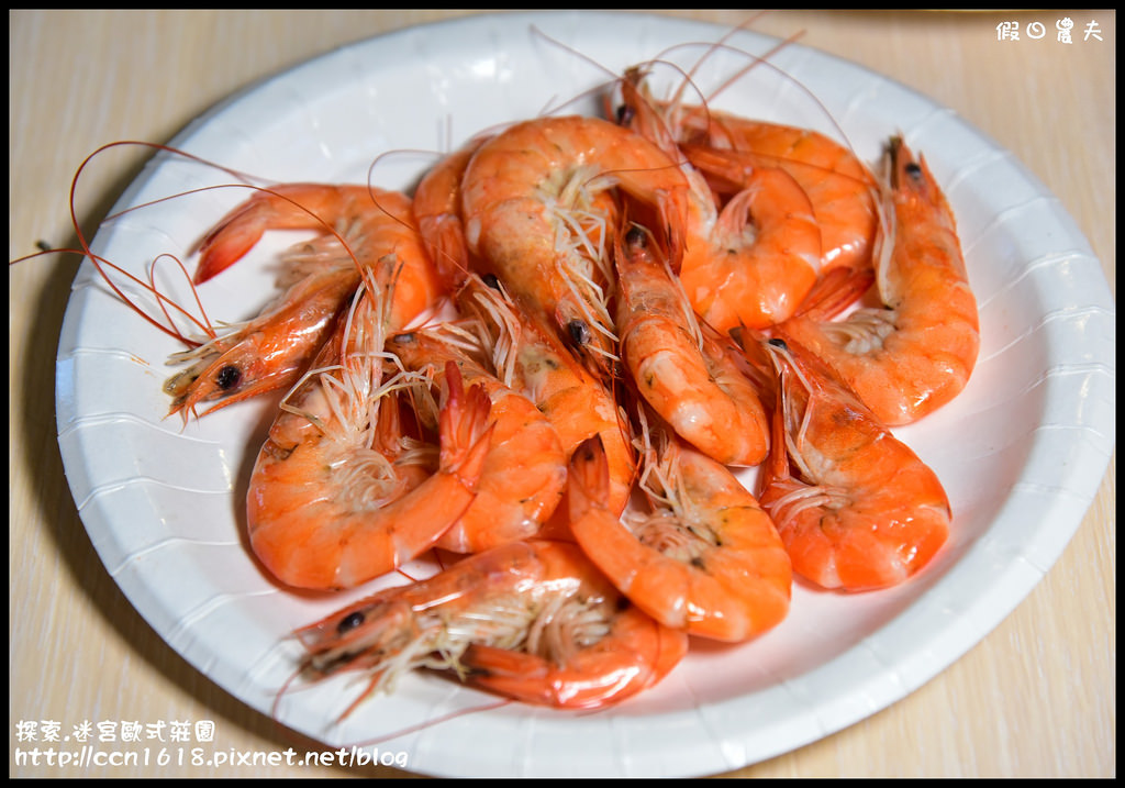 探索.迷宮歐式莊園DSC_2185