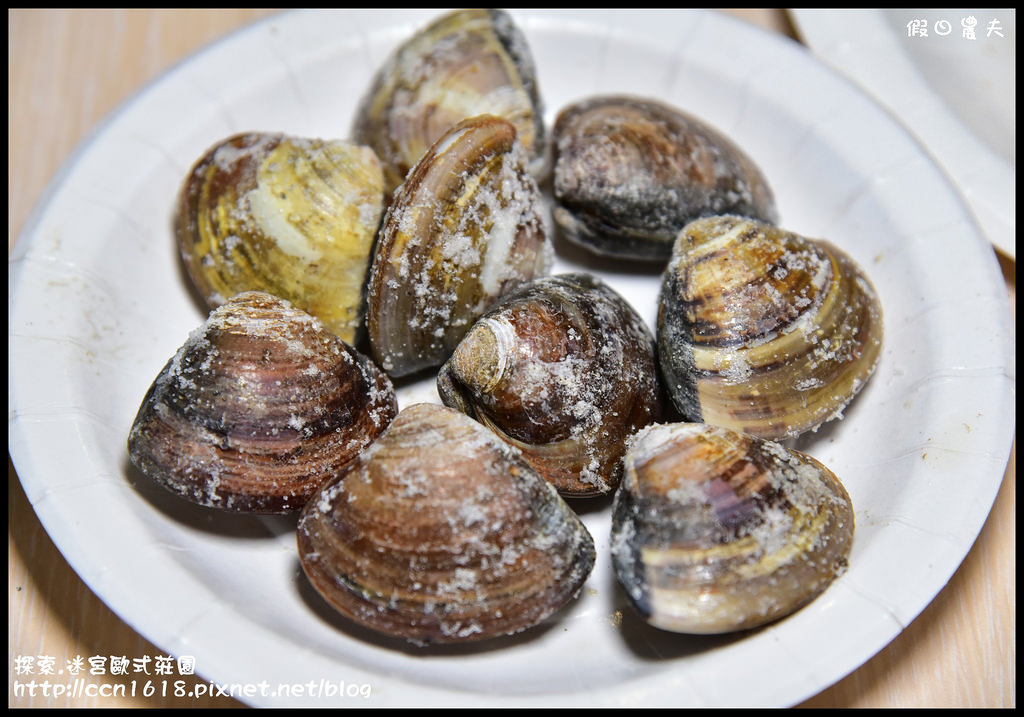 探索.迷宮歐式莊園DSC_2195