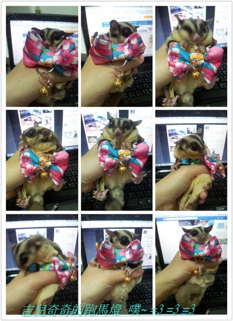 pt2015_07_13_22_03_22