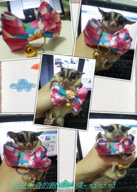 pt2015_07_13_21_53_58