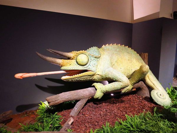 【台北展覽】白堊紀恐龍特展-侏羅紀世界真實版