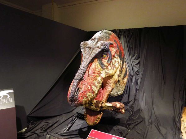 【台北展覽】白堊紀恐龍特展-侏羅紀世界真實版