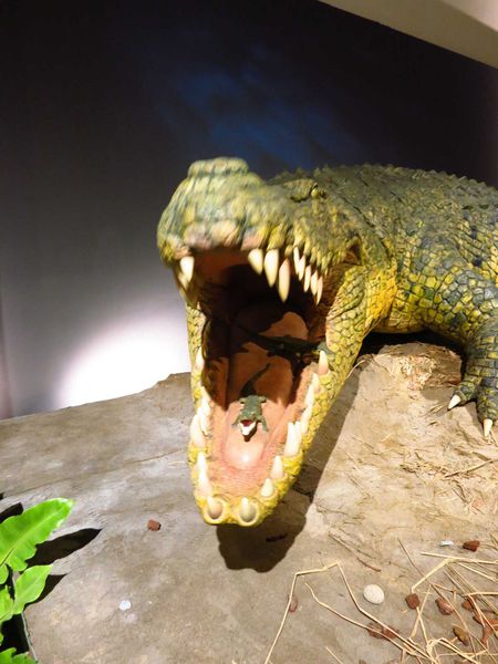 【台北展覽】白堊紀恐龍特展-侏羅紀世界真實版