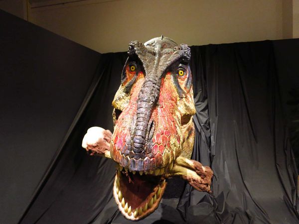 【台北展覽】白堊紀恐龍特展-侏羅紀世界真實版