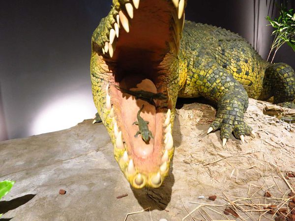 【台北展覽】白堊紀恐龍特展-侏羅紀世界真實版