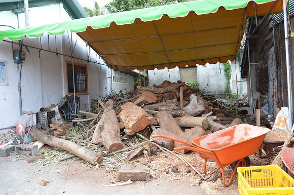 新蘭灣窯烤比薩24