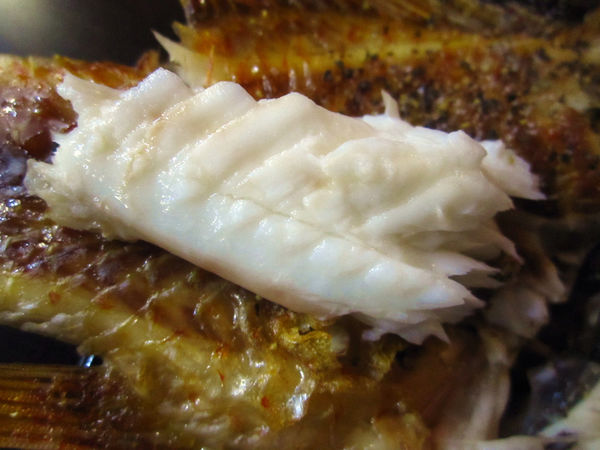 森浦日式居酒屋:【台北市】創意料理平價燒烤海鮮-森浦日式居酒屋