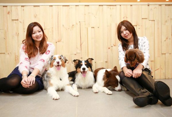 12620587_452790108256484_137262559_o