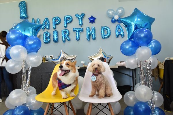 樂樂生日趴林可可家得牧場