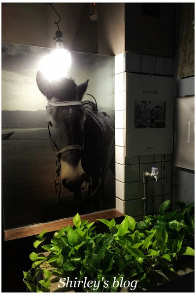 文魚走馬(原Taipei吃書喝東西)：捷運中山站‧文魚走馬(原Taipei吃書喝東西)