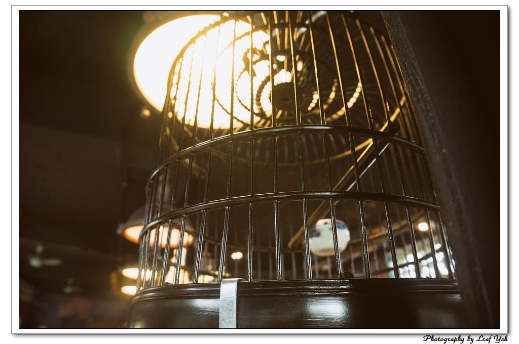 葉影瓶像版權所有