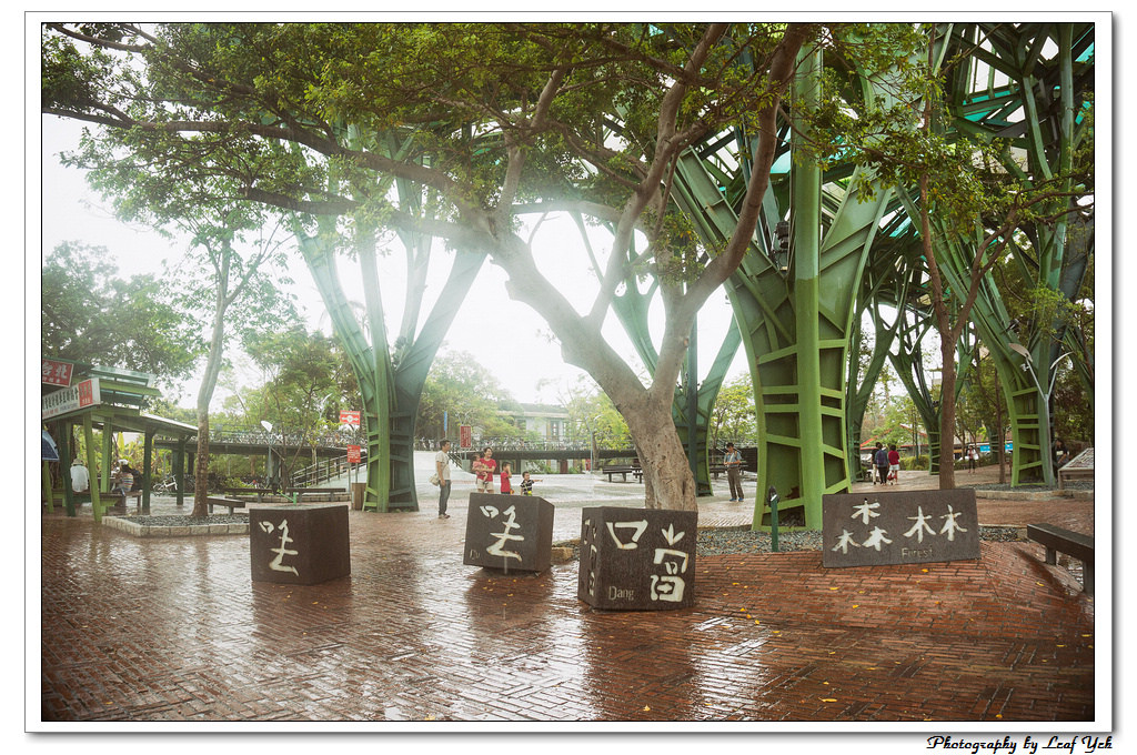 葉影瓶像版權所有