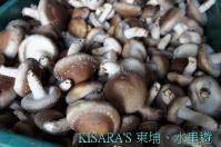 上安香菇教育農場:東埔、水里遊之三.上安香菇教育農場