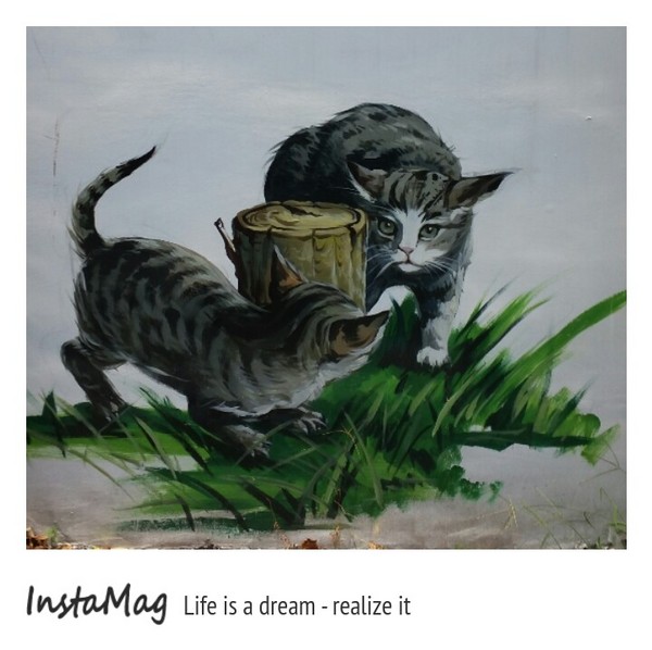 二崙鄉湳仔社區鐵道文化3D彩繪：【雲林景點】雲林二崙鄉湳仔社區~鐵道文化3D彩繪