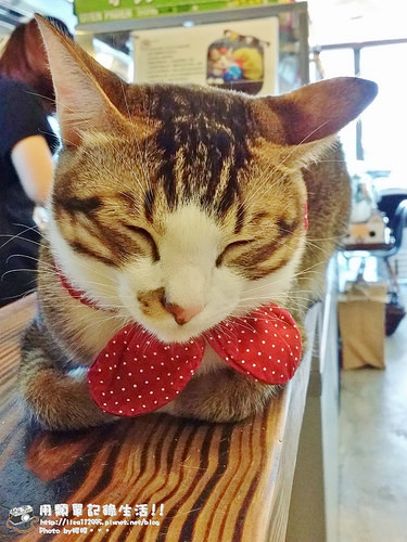 20151212_113451 (768x1024)