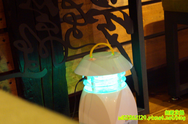 夢東籬(永華店):【台南-安平區】賞花x古蹟...我在賞花吃飯中...免費喝酸梅汁+沙拉+麻油麵線..打卡送薯條..《夢東籬(永華店)》