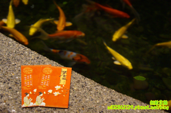 夢東籬(永華店):【台南-安平區】賞花x古蹟...我在賞花吃飯中...免費喝酸梅汁+沙拉+麻油麵線..打卡送薯條..《夢東籬(永華店)》