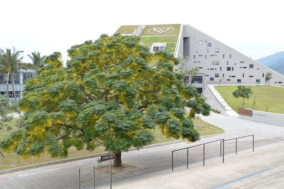 台東大學知本校區圖書館43