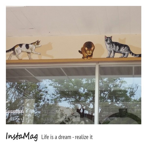 7-11斗六保庄門市：【雲林景點】雲林斗六7-11保庄門市魔法貓屋