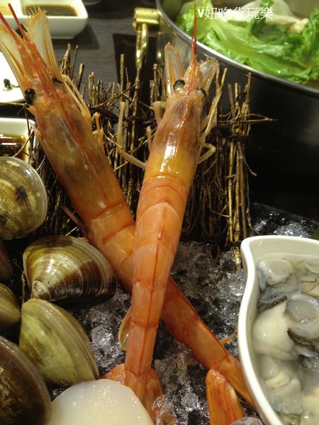 天使宏蝦.jpg