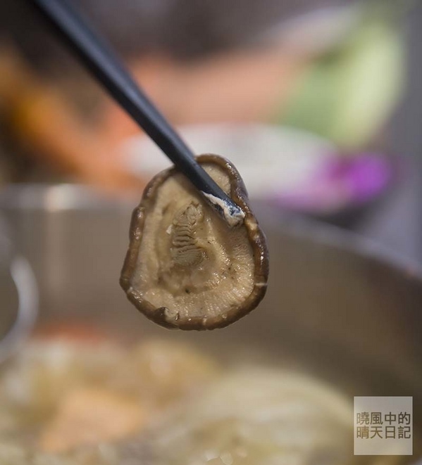 双木林 SHABU：【口碑券 | 双木林 SHABU】食材高檔用餐環境佳 精緻養身涮涮鍋