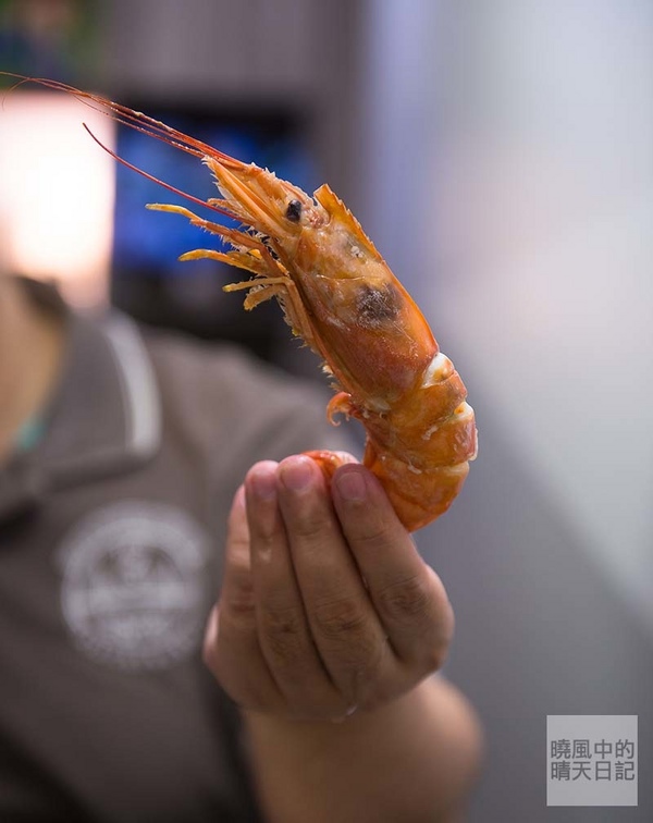 双木林 SHABU：【口碑券 | 双木林 SHABU】食材高檔用餐環境佳 精緻養身涮涮鍋