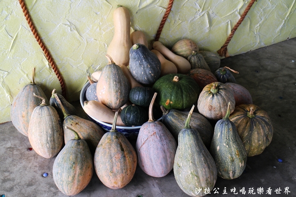 雲天楓泉：宜蘭.羅東住宿『雲天楓泉湧泉花園民宿』冷泉/親子/羅東運動公園旁