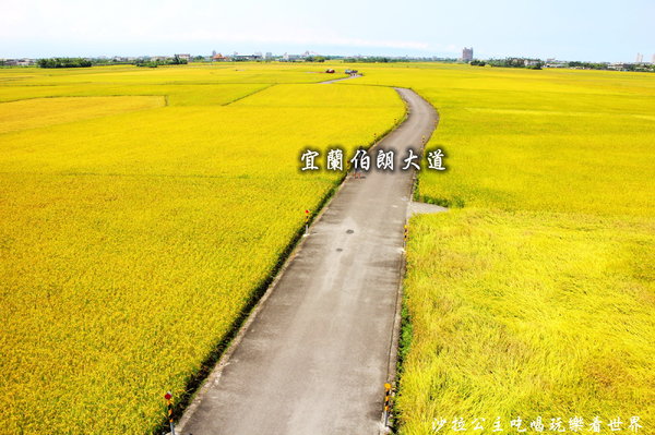 雲天楓泉：宜蘭.羅東住宿『雲天楓泉湧泉花園民宿』冷泉/親子/羅東運動公園旁