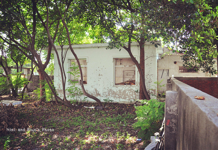 清水景點眷村文化藝術村范特喜書店22