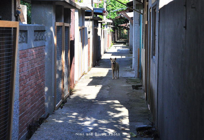 清水景點眷村文化藝術村范特喜書店12