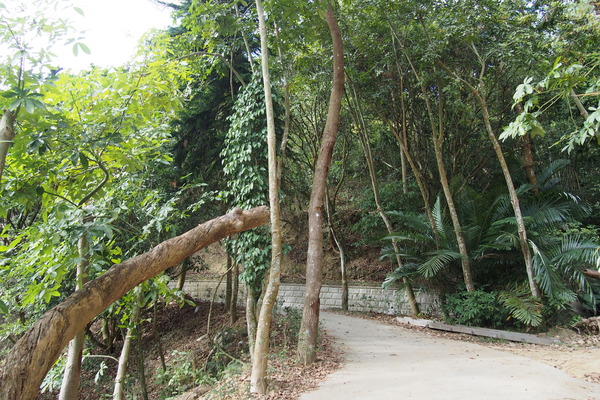 龍鳳瀑布空中步道：【南投】龍鳳瀑布空中步道