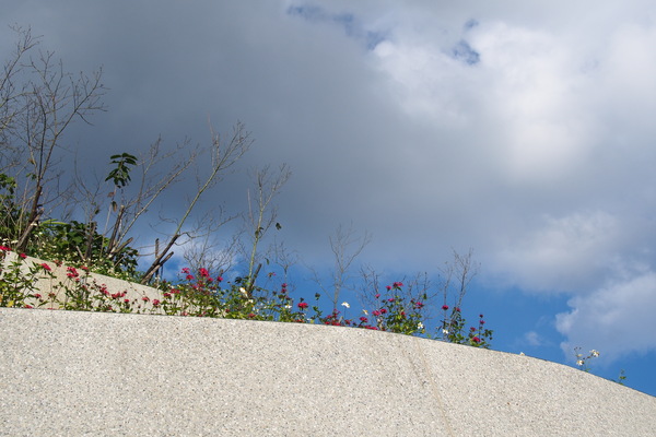 龍鳳瀑布空中步道：【南投】龍鳳瀑布空中步道