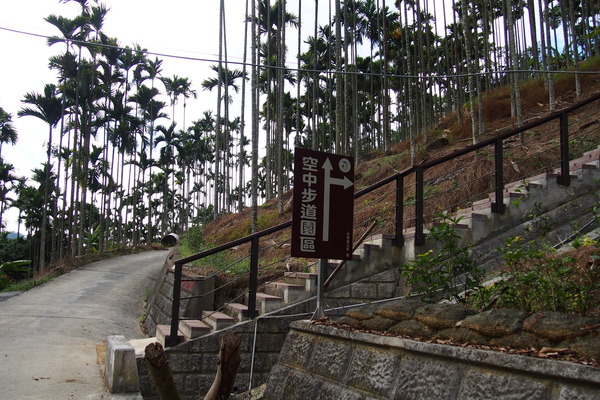 龍鳳瀑布空中步道：【南投】龍鳳瀑布空中步道
