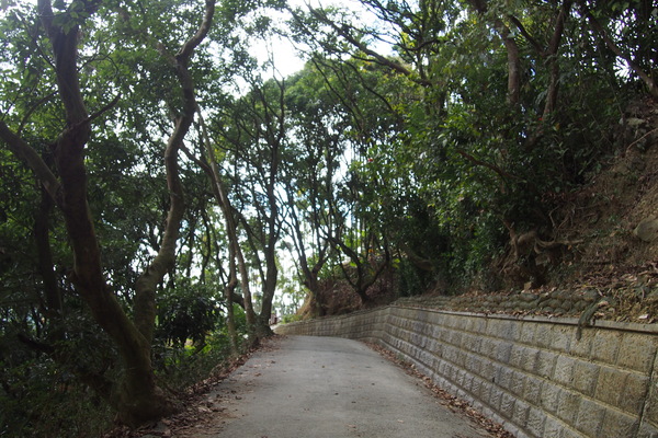 龍鳳瀑布空中步道：【南投】龍鳳瀑布空中步道