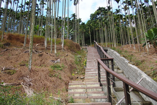 龍鳳瀑布空中步道：【南投】龍鳳瀑布空中步道